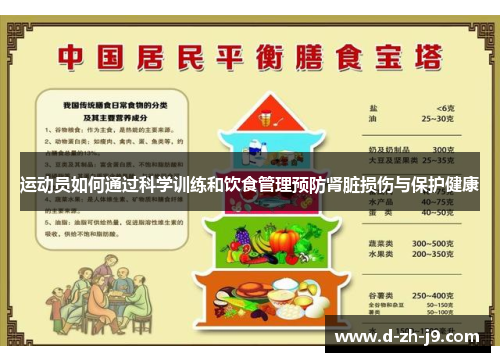 运动员如何通过科学训练和饮食管理预防肾脏损伤与保护健康